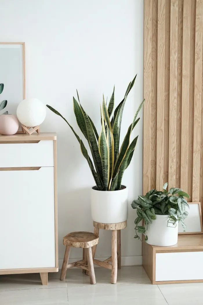 BAMBOO PANELS